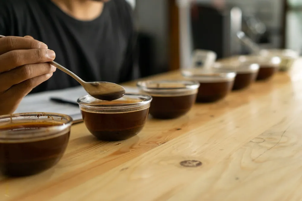 cata de cafe brasilena